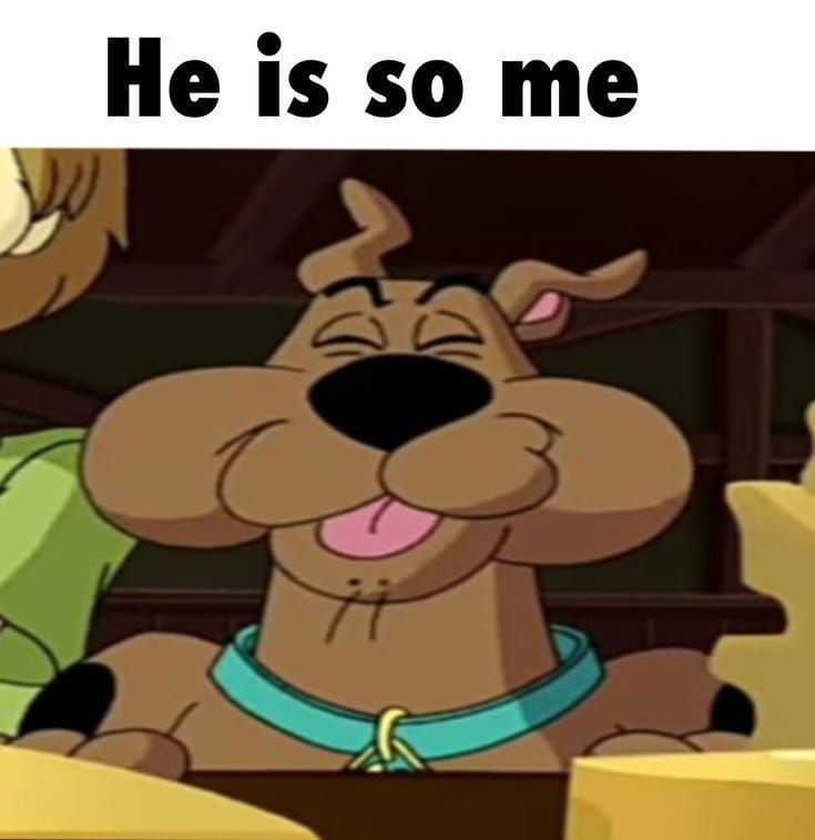 𐙚˚࿔ 𝐋𝐨𝐮 𝜗𝜚˚⋆ tweet media