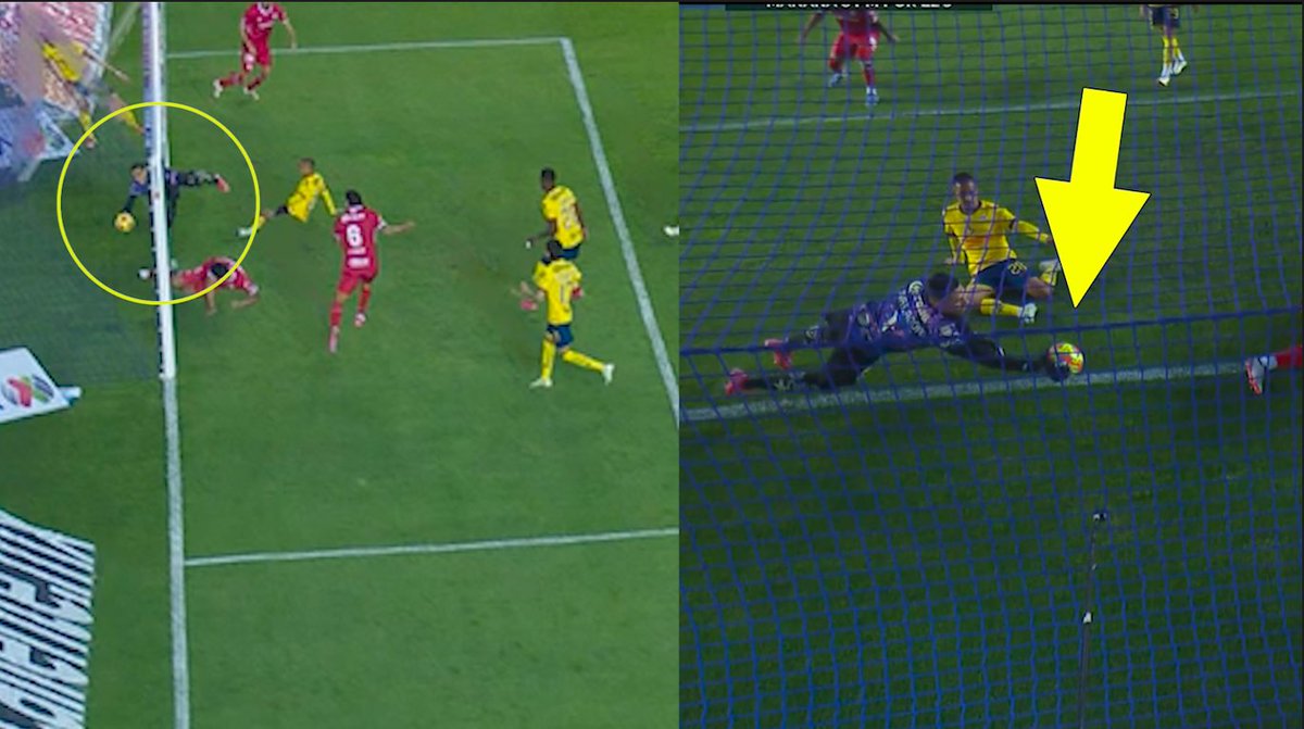 Jaime León tweet media