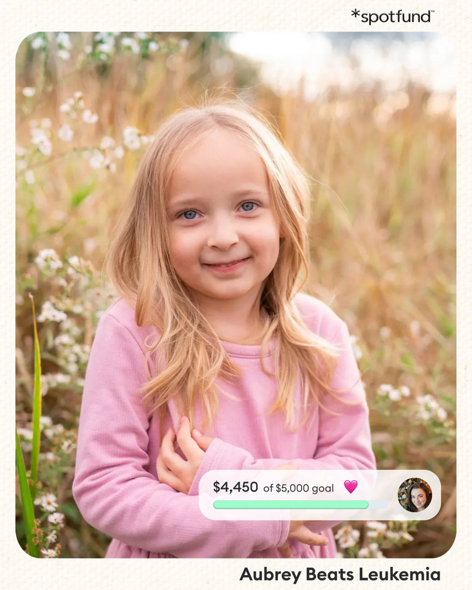*spotfund tweet media