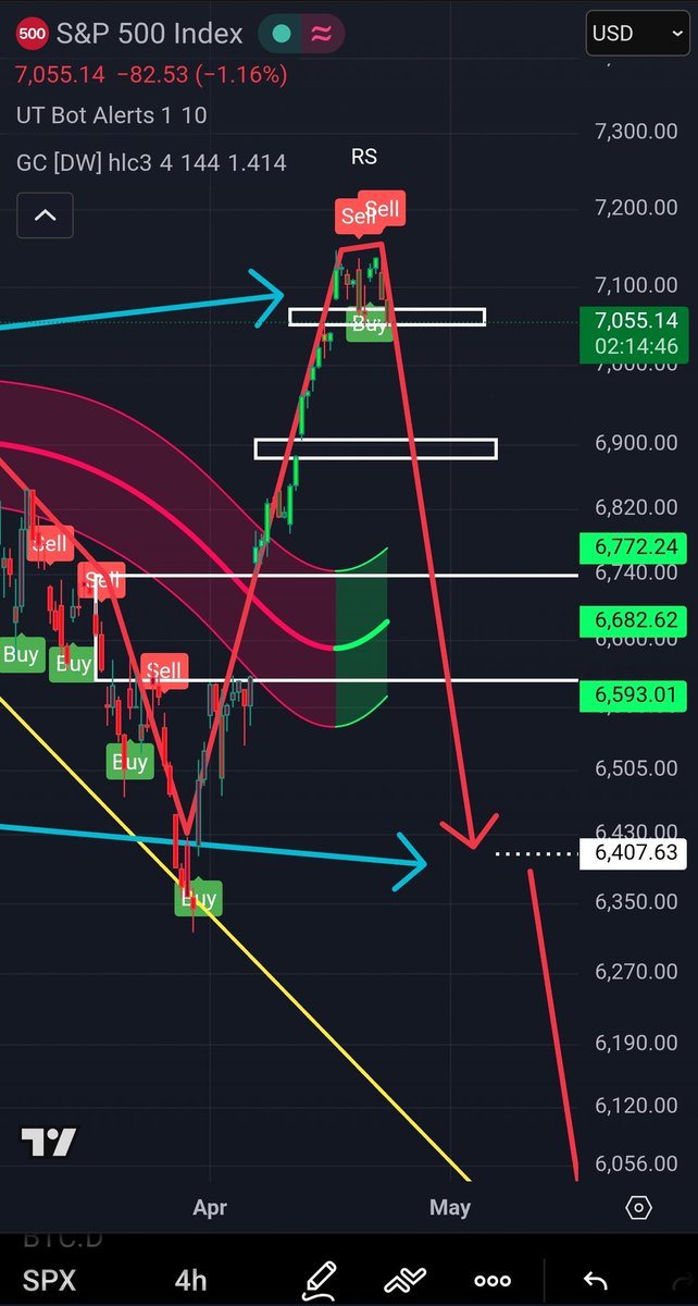 CryptoRell Ⓜ️🕸️ tweet media