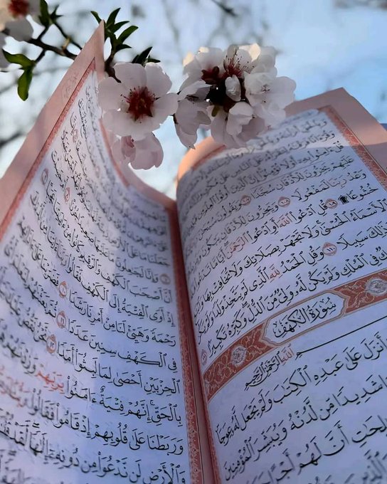 حمود الكندي tweet media