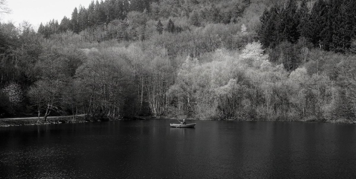 Kalli2005's tweet image. Untitled 2026-039
#nature #blackandwhite #hiking