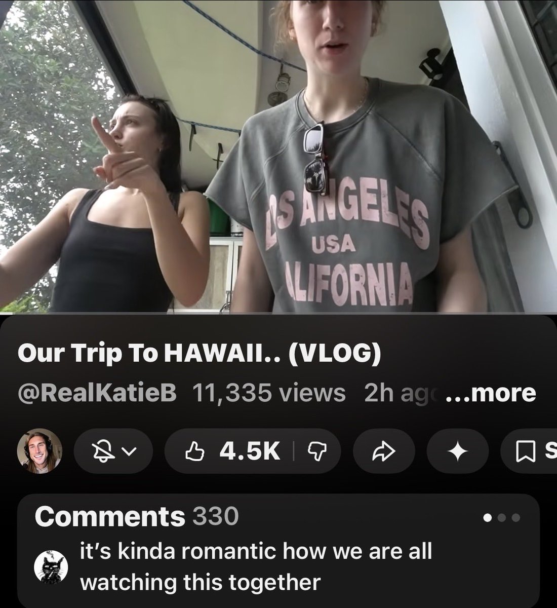 noelle🕸️ tweet media