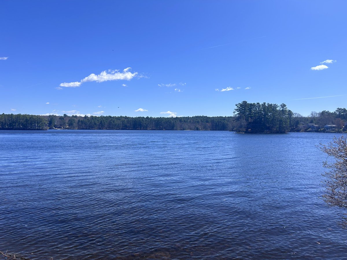 BirdAndGarden's tweet image. Such a gorgeous day here and took advantage of it due to all the rain coming for next week. #walking #exercise a bit windy tho!