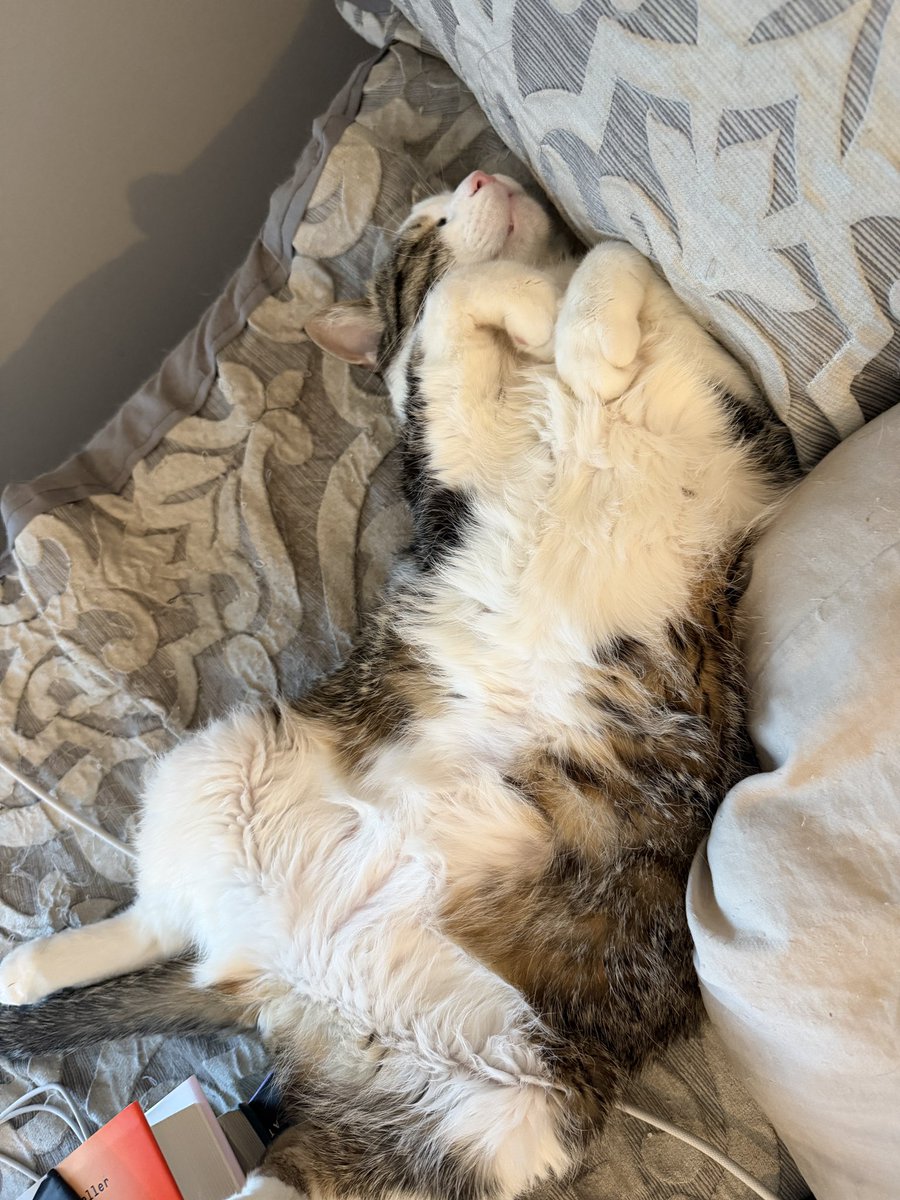 Nina Bumstead tweet media