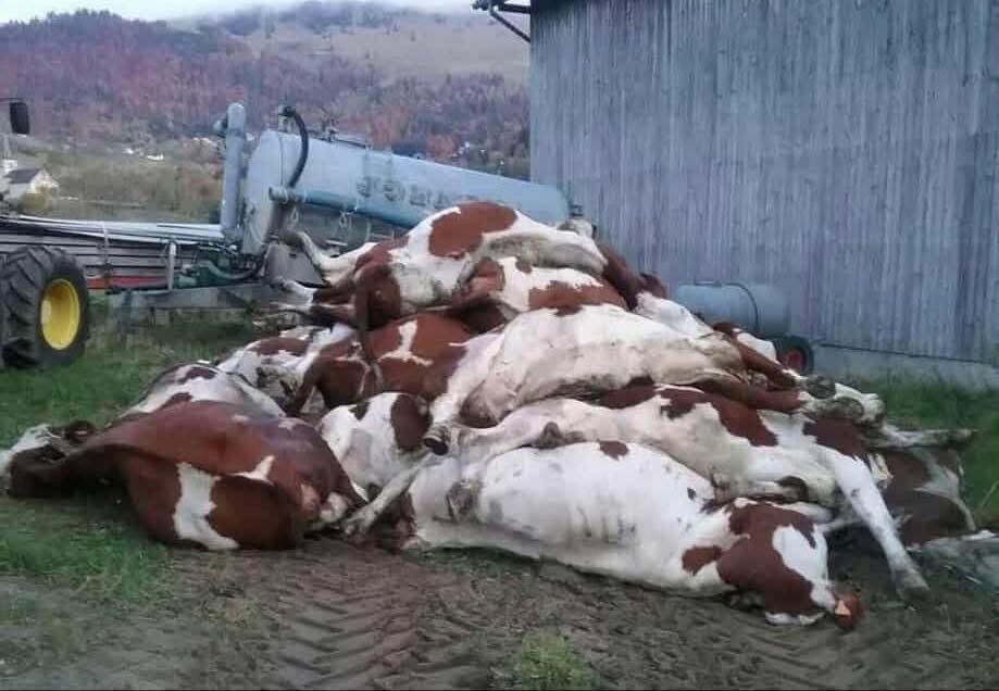 batcyclic3🇫🇷🌳🐋🏅🪐Ⓜ️ tweet media