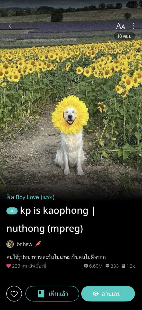 #ถั่วติมอ่าน #nuthong 
#วันนี้เวสตี้อ่านอะไร (เวสตี้คนไหนอยากลองชิมลองได้เลย สนุกจริงคอนเฟริม)

อยากแวะมารีวิว สองเรื่องนี้ให้ อ่านแล้วใจฟูมากๆเลยคับ อ่านตั้งแต่ 3 ทุ่ม ยันเที่ยงคืน

เรื่องแรก kp is kprnpei น้องเพ่ยกับกรโดนจับแต่งงานแบบคลุมถุงชน แต่ทั้งสองเต็มใจน้า