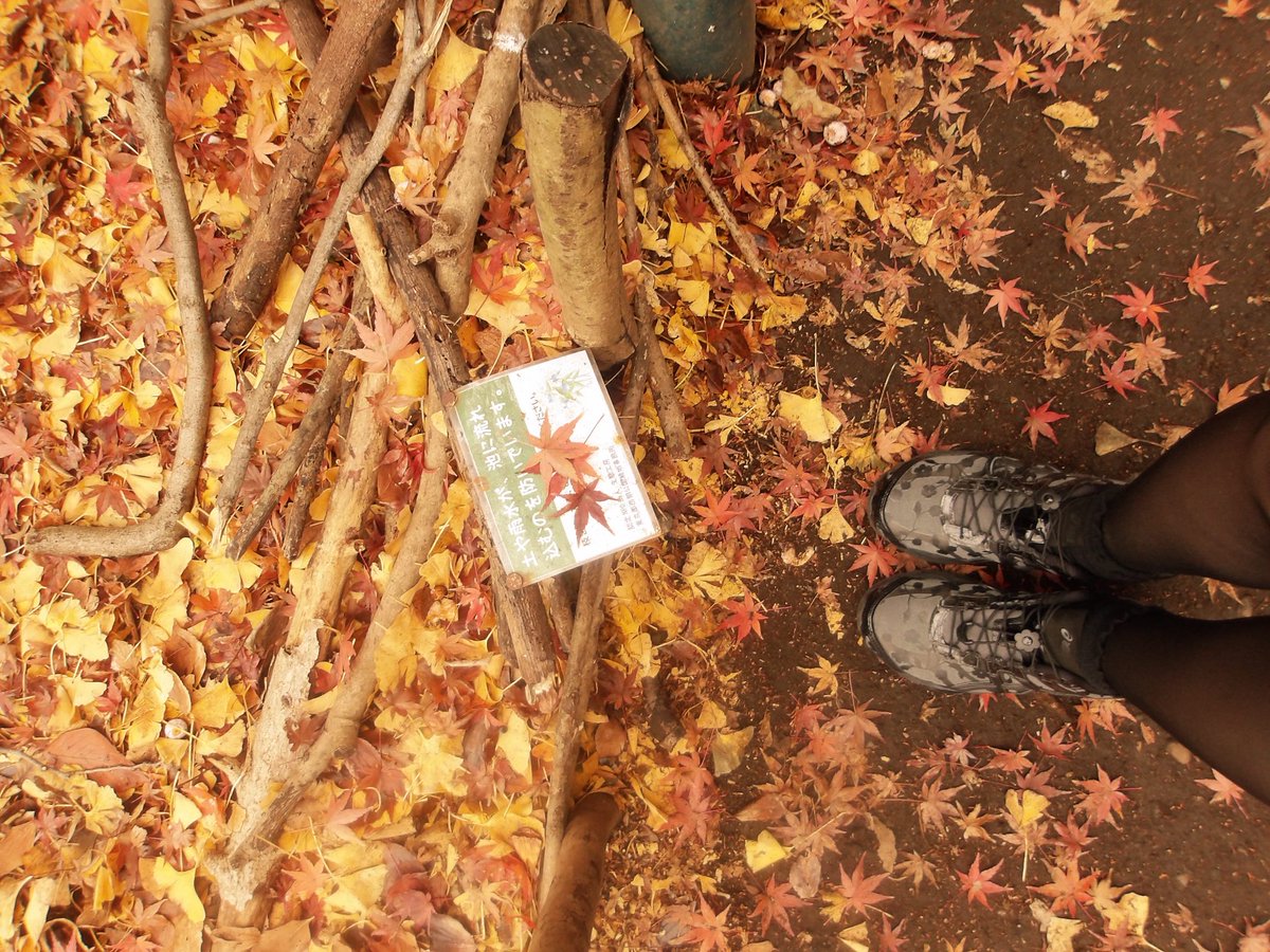 duda 🌸🍵 tweet media