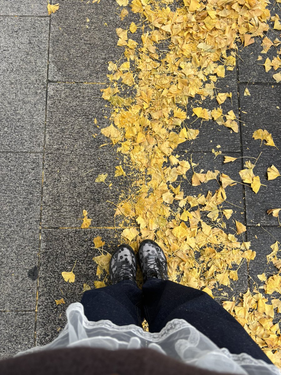 duda 🌸🍵 tweet media