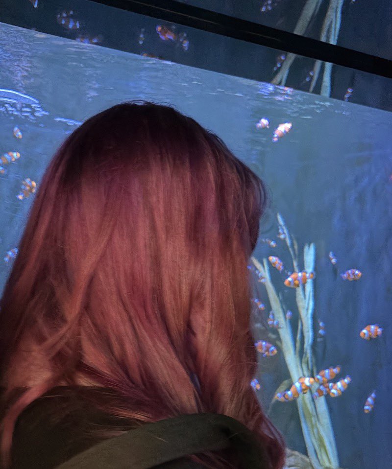 ˚₊‧꒰ა 𝒸𝒶𝓇𝓁𝓎 ໒꒱ ‧₊˚ tweet media