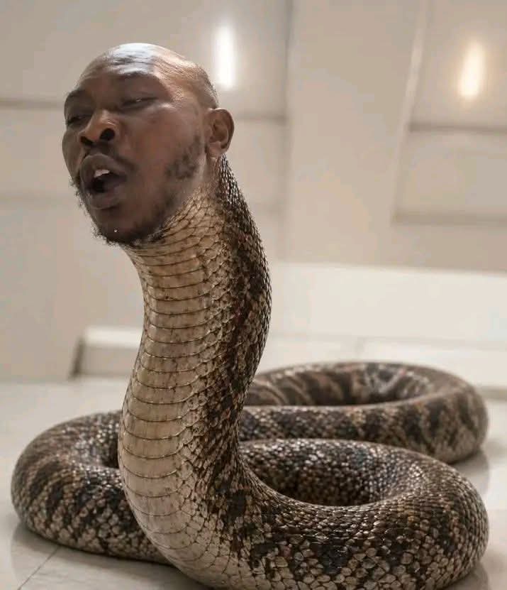 Ubanagu Chukwuebuka 🐐 🐐 tweet media