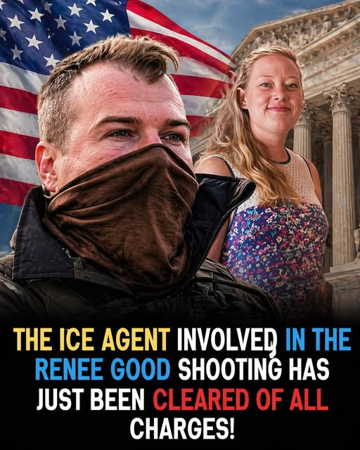 dave lawrence 🐟🐟🐠 tweet media