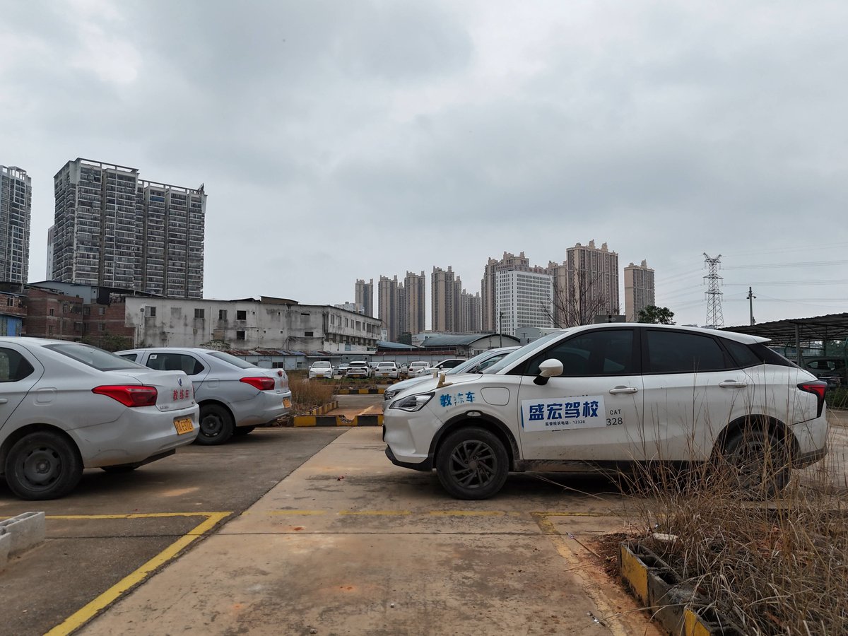 Дарья Владимирова tweet media