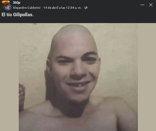 Una hormiga que mira tu post 🐜 (@hormiga_returns) on Twitter photo 