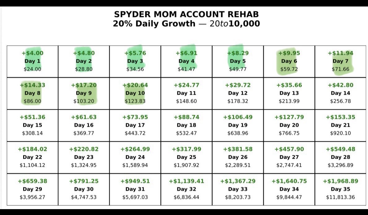 SPYder Mom tweet media