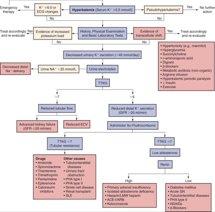 drsthanus's tweet photo. A clinical diagnostic pathway for Hyperkalemia.

https://t.co/AqVAhM9YsO https://t.co/hA1erZkhXT