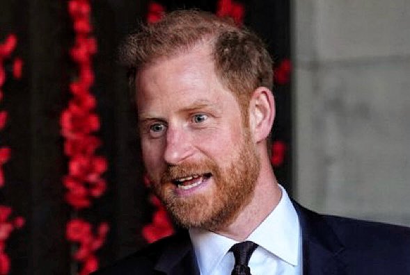 Nancy Sidley tweet media