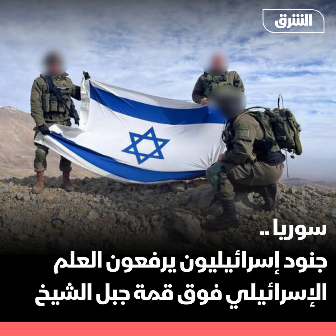 Mahmoud Mostafa tweet media