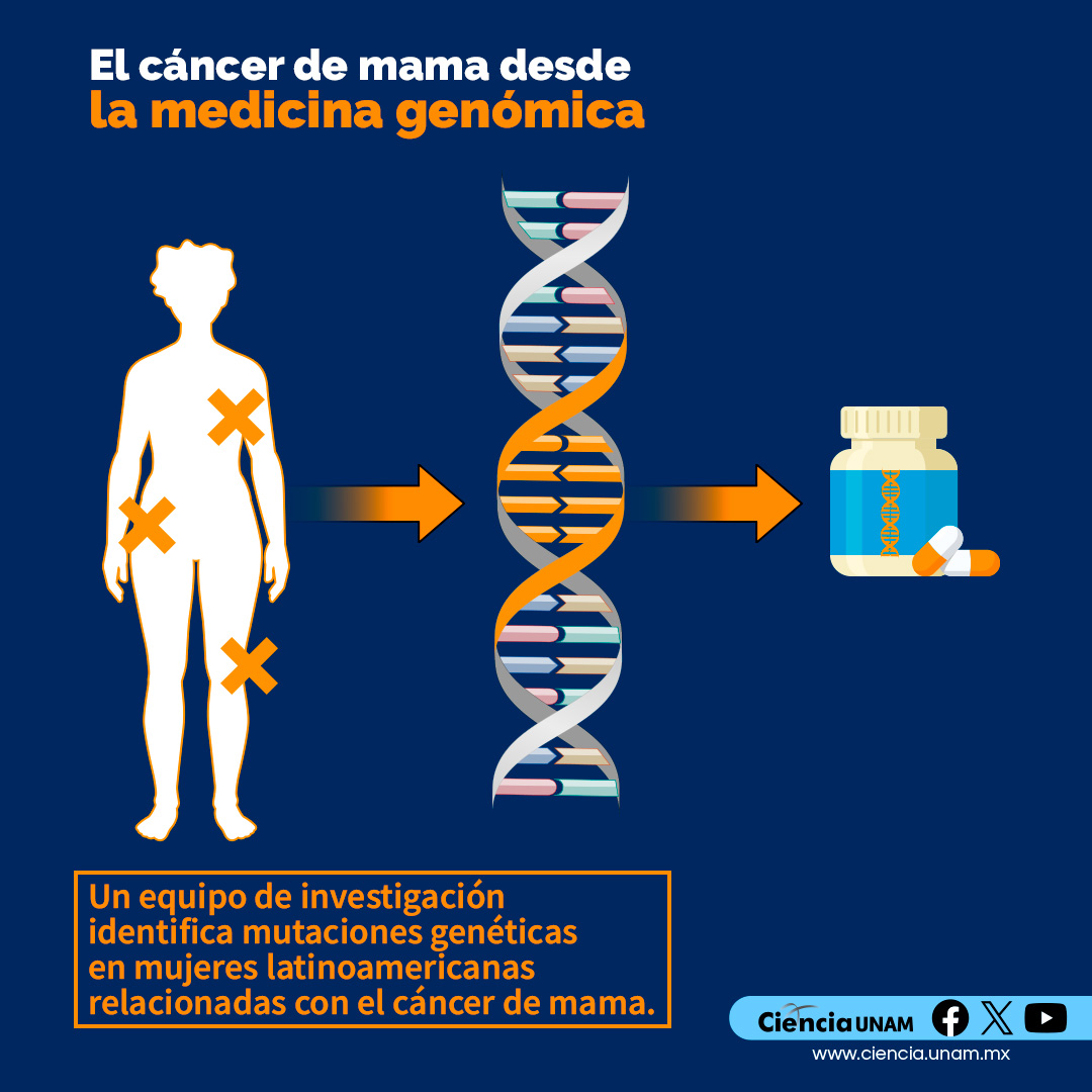 Ciencia_UNAM's tweet image. El #ADN, molécula que forma parte de todas las células y contiene la información genética utilizada en el desarrollo y funcionamiento de los organismos
¿También tiene que ver con los problemas de salud? ¿El #cáncer es una enfermedad #genética?
Checa +info bit.ly/3xXtw2Y