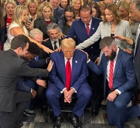 Popular Liberal 🇺🇸 tweet media