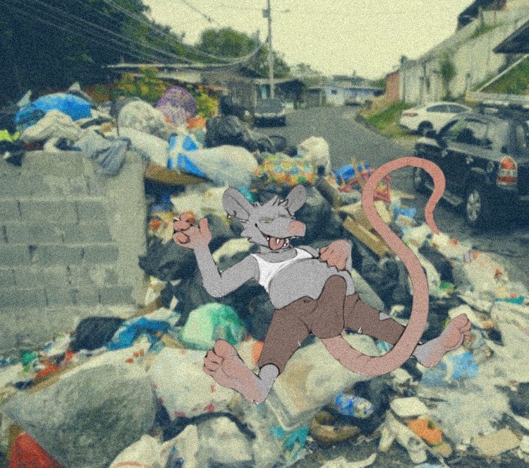 𝘼 𝙍𝙖𝙩 𝙆𝙞𝙣𝙜. 🐀 tweet media