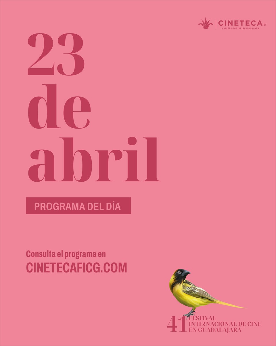 Cineteca FICG tweet media