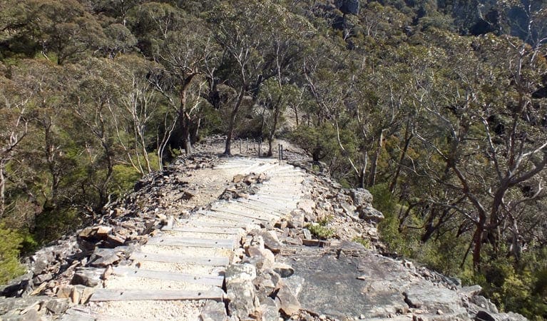 TrailHikingAust's tweet image. Waterfall walk is a 1.6km, grade 3 hike located in Kanangra-Boyd National Park, New South Wales. The hike should take around 45 minutes to complete.

#hiking #bushwalking  #trailhikingaustralia #TrailsNSW #WalkNSW #HikeNSW #NewSouthWales #Kanangraboyd
trailhiking.com.au/hikes/waterfal…