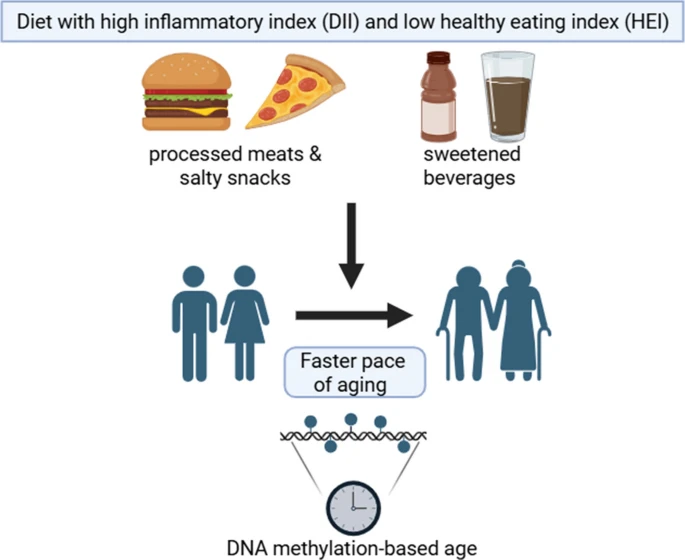 Agingdoc🩺Dr David Barzilai🔔MD PhD MS MBA DipABLM tweet media
