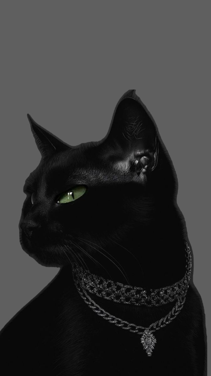 Artzchillect tweet media