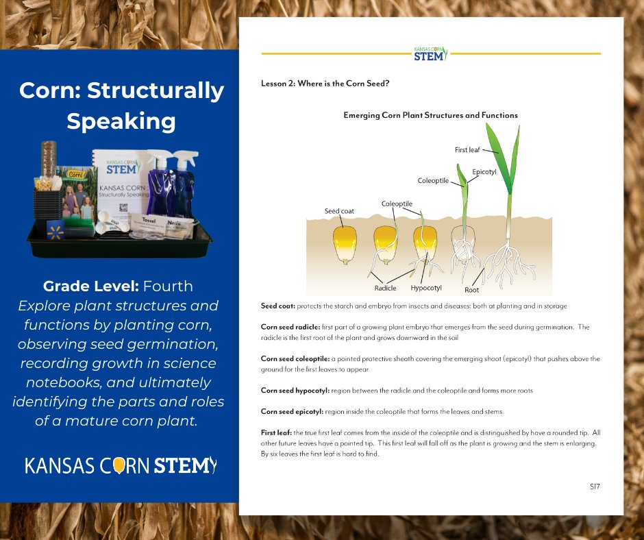 Kansas Corn STEM tweet media