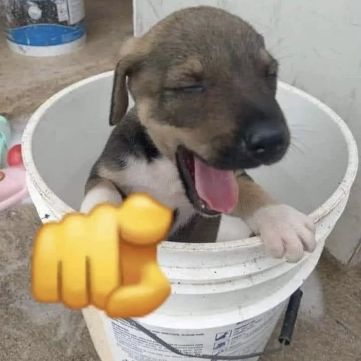 Lacendi Calderón 🤖 tweet media