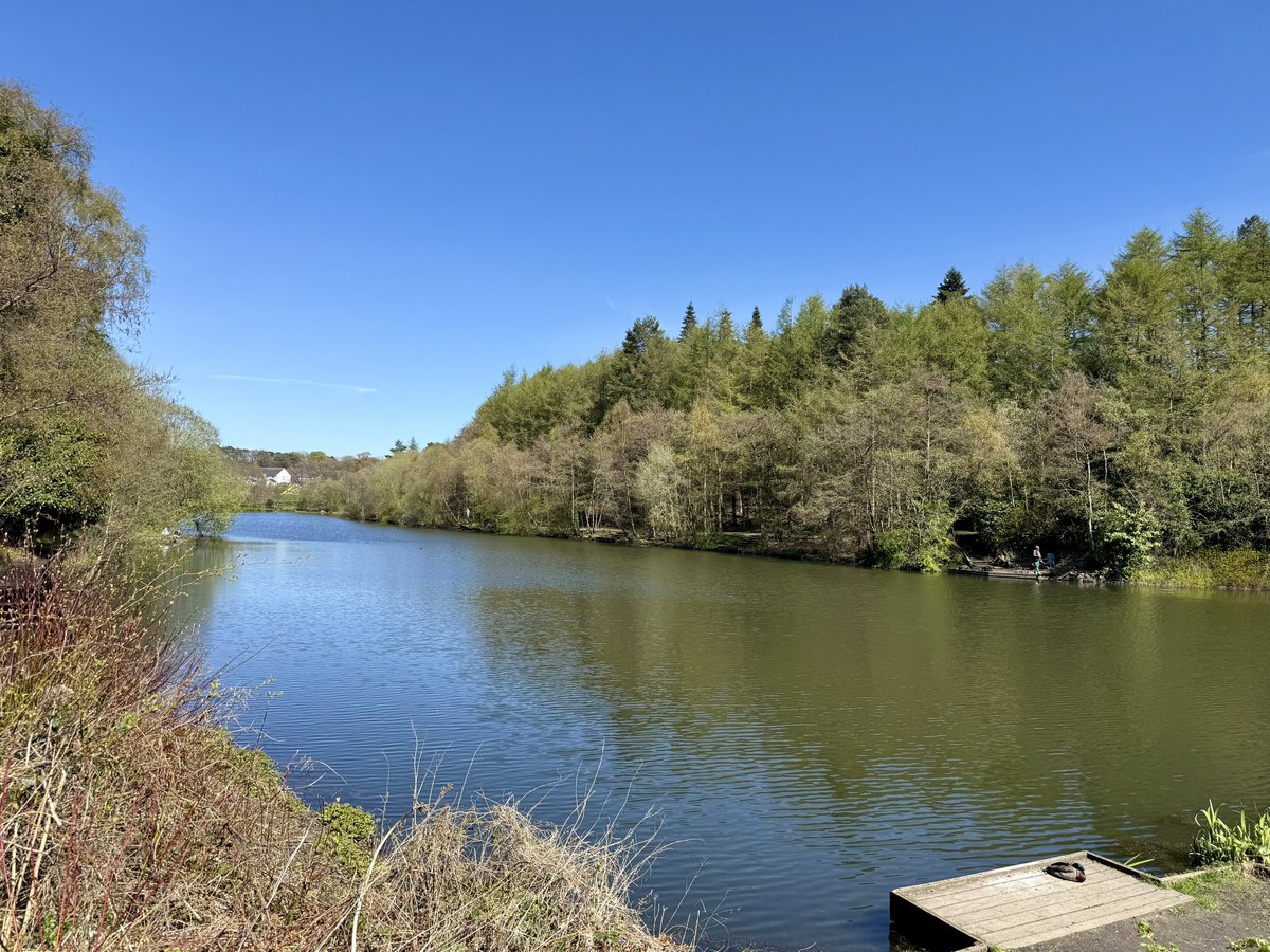 ElleBeePhotos's tweet image. A glorious day for a little ‘me time’ at my local reservoir. 

I hope you find these sunny views as peaceful and calming as I did! ☀️💙

p.s. If you look closely, you can see ducks in flight and tiny ducklings on the water. 🦆🐥

#landscapephotography #NatureTherapy