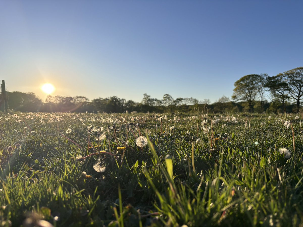 TryingToTriatlonWim tweet media