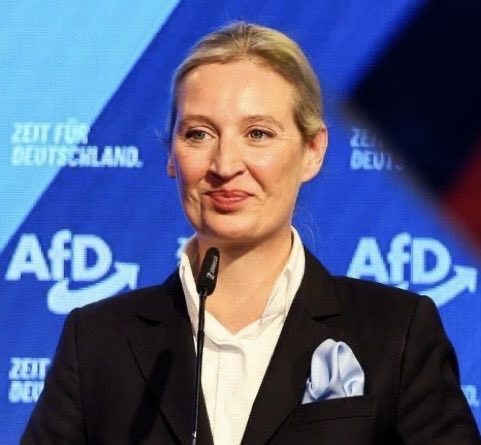 Wolf 🐺 tweet media