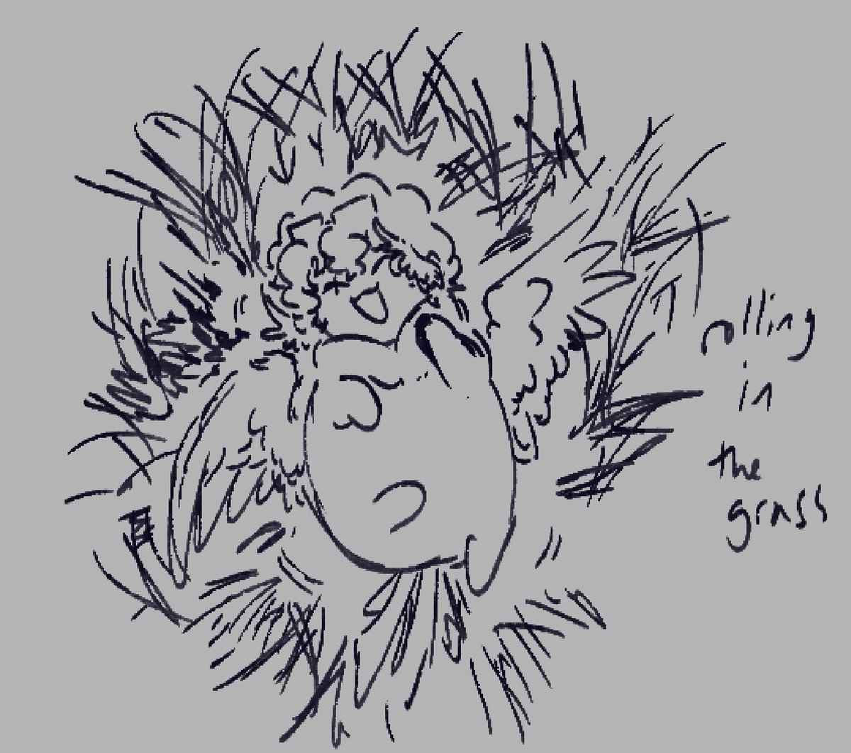 SJ | Lettuced tweet media