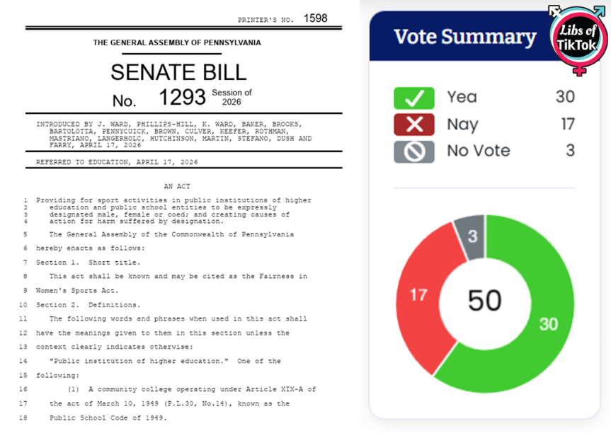 Libs of TikTok tweet media