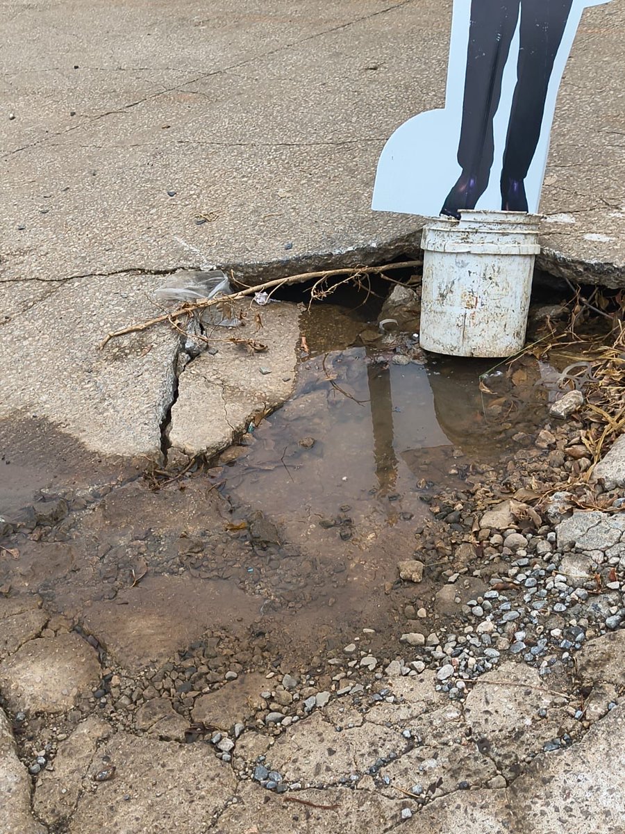 Diario AVANCE Tabasco Informa tweet media