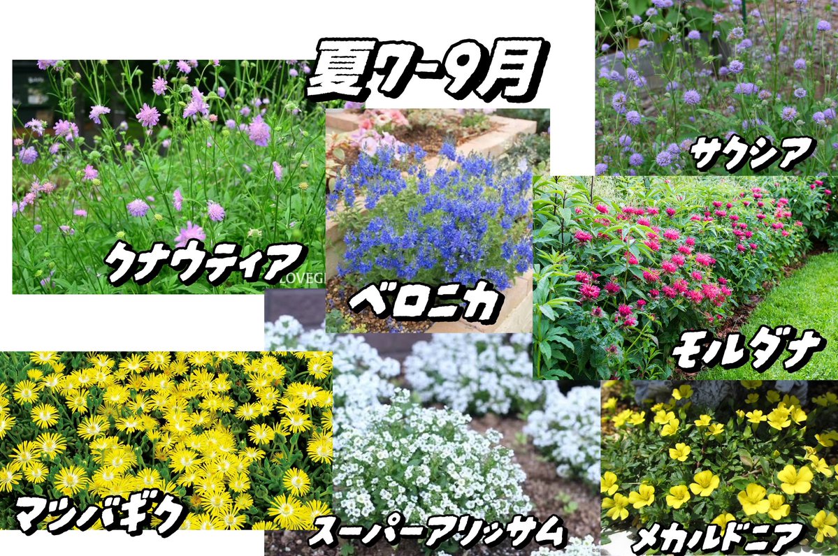 嵐吹子 tweet media