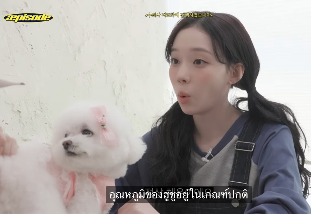 immomnongnao🍋 tweet media