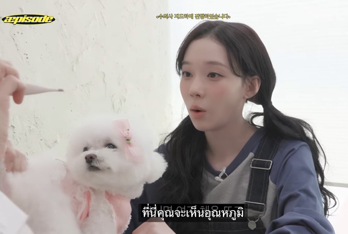 immomnongnao🍋 tweet media