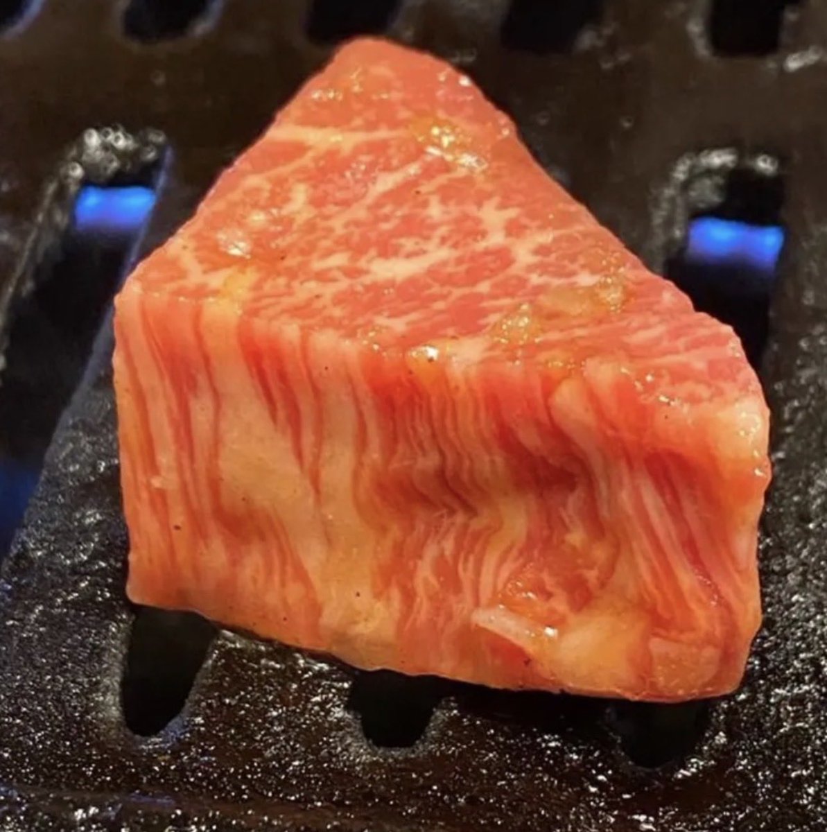 かめみKamemi🥃🍱 tweet media