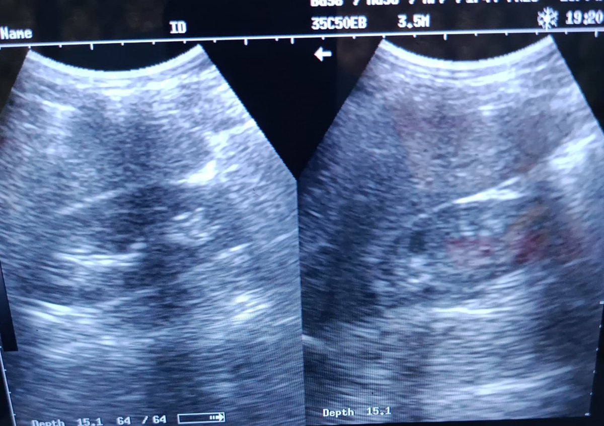 ChroRadGirlie tweet media