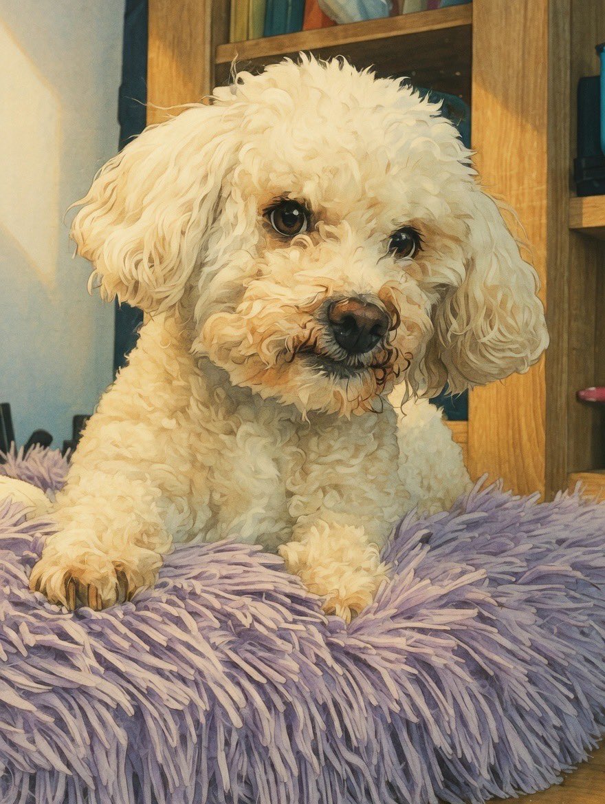 今稽古中の作品にはホンモノかと見間違うくらいの、マリオネットでやる犬(パジー)がいて、今日舞台稽古を覗いてきた作品には本物の犬がいて(サンディー)、家帰ってきたら本物の犬(キキ)が寝てました。

犬だらけで幸せです🐕