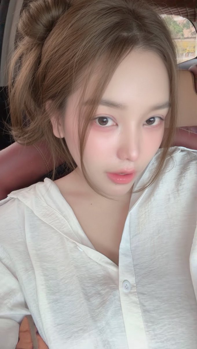 beautiful Korat tweet media
