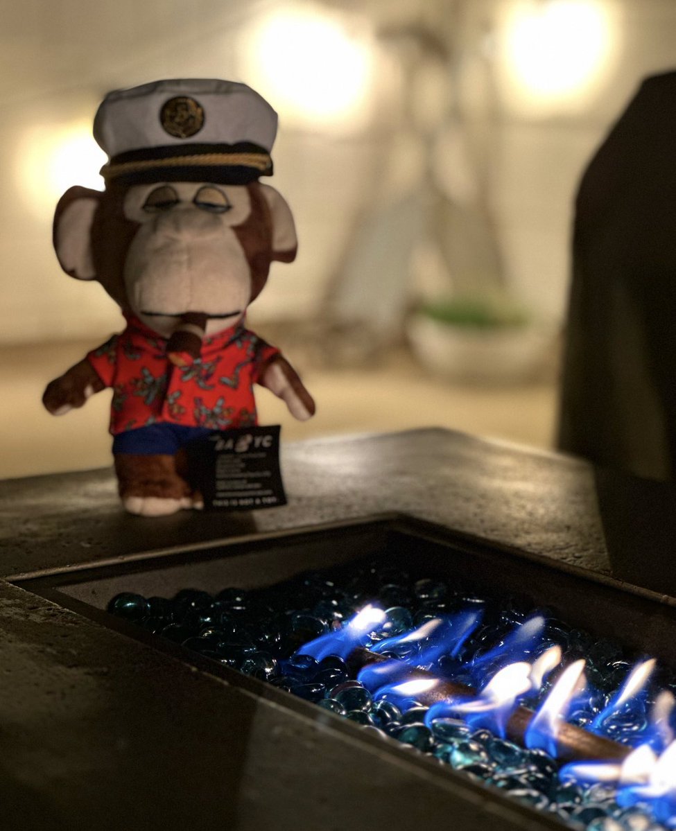 LadyApe🍌🎀 🦍 tweet media