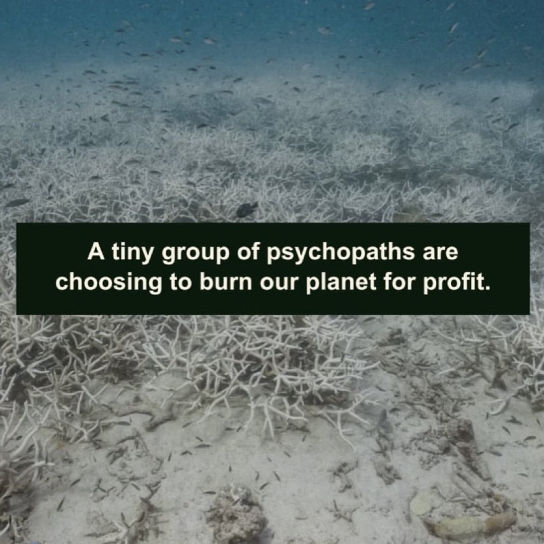 j.ickx ⓥ 💚🌱🐾 tweet media