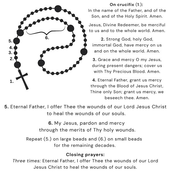 That Catholic Guy 🇻🇦 tweet media