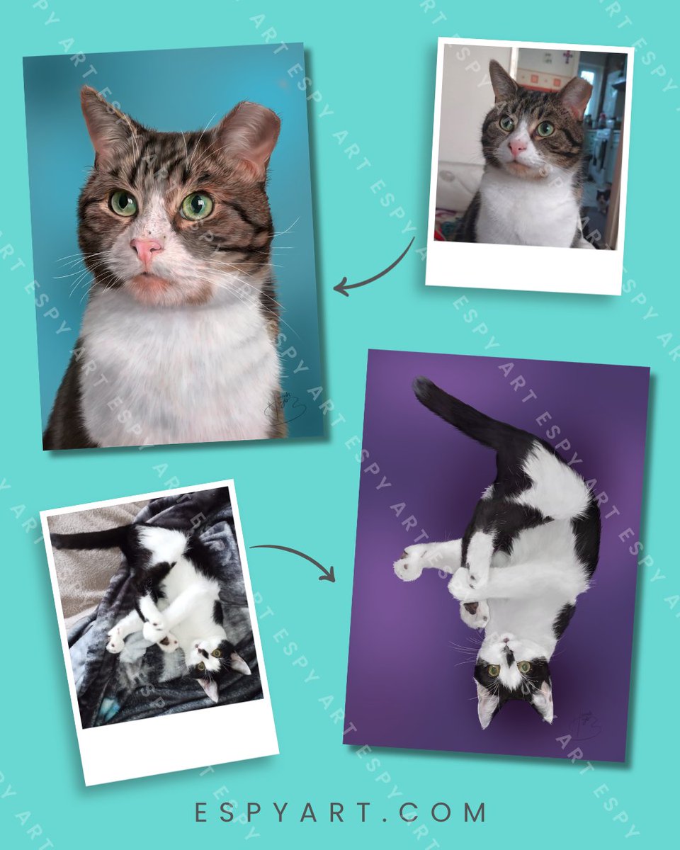 EspyArts's tweet image. Here's two recent portraits to make up for a lack of art posts.

Both were for an amazing client who I am working with on a fun project to fill her wall with cat paintings! 🐱

Blog post:
espyart.com/ziggy-domino/

#PetPortrait #catart #catlovers #blackandwhitecat #rescuecats