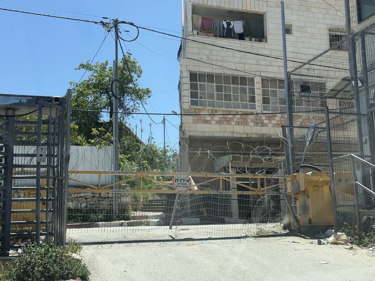 Loriane Lafont-Grave tweet media