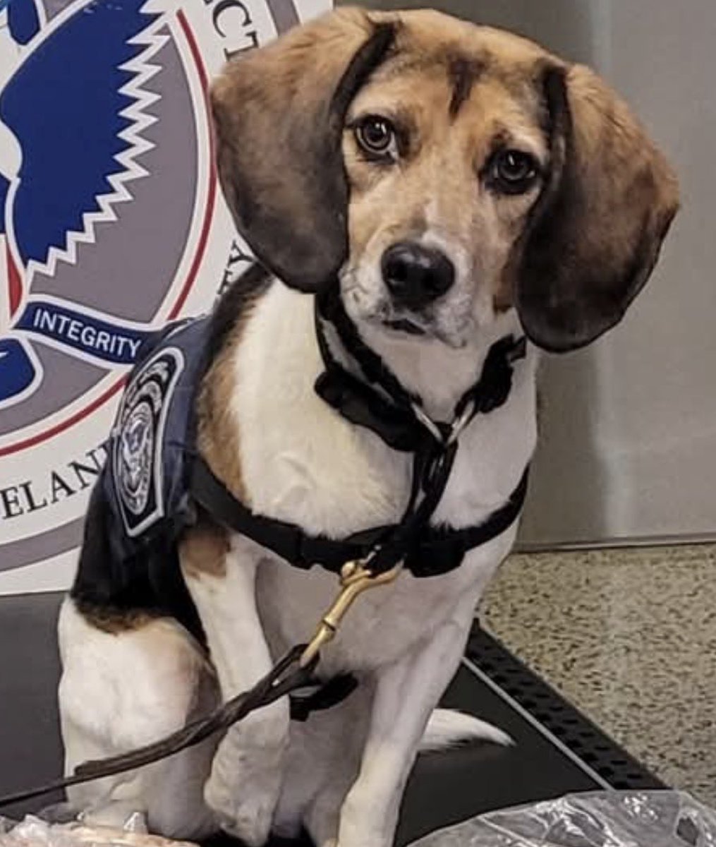 ท่านหญิงฉางอัน วันๆอ่านแต่นิยาย(ทลายกองดอง) tweet media